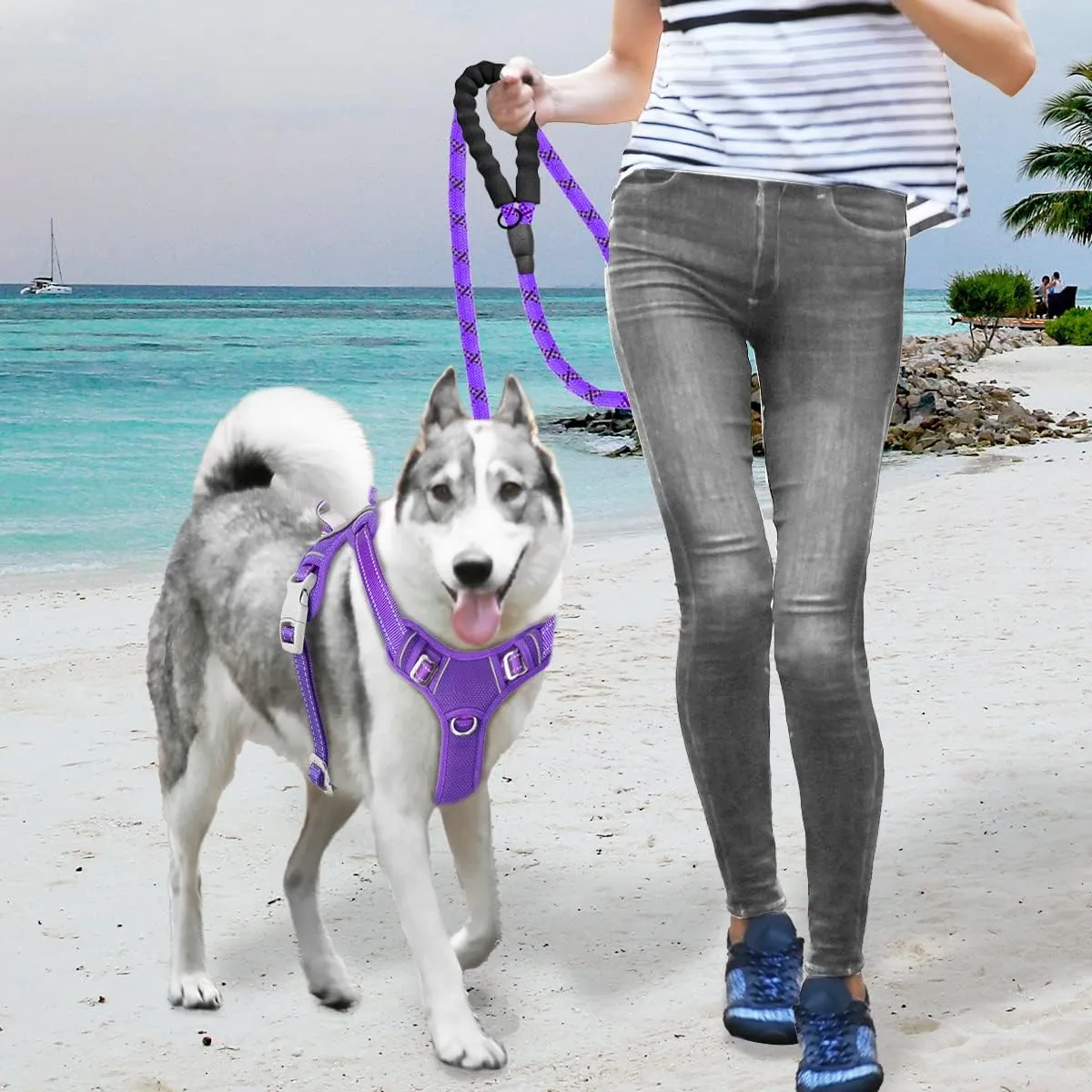 BARKBAY No Pull Dog Harness Large Reflective Dog Harness with Front Clip and Easy Control Handle for Walking Training Running with ID tag Pocket(Purple,L)