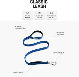 DF Co. Classic Dog Leash | Strain-Free, Shock Resistant, Prevents Jolts, Maintain Control | Durable Waterproof Material with Heavy Duty Clip & D-Ring (Purple, Regular)