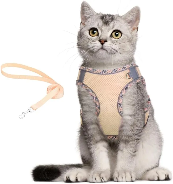 Dog Harness and Leash Set, No Pull Adjustable Reflective Pet Harness for Small Medium Dogs, Easy Walk Step in Vest Harness Outdoor Hiking Training for Extra Small Dogs, Puppy, Cats(Beige, XXS)