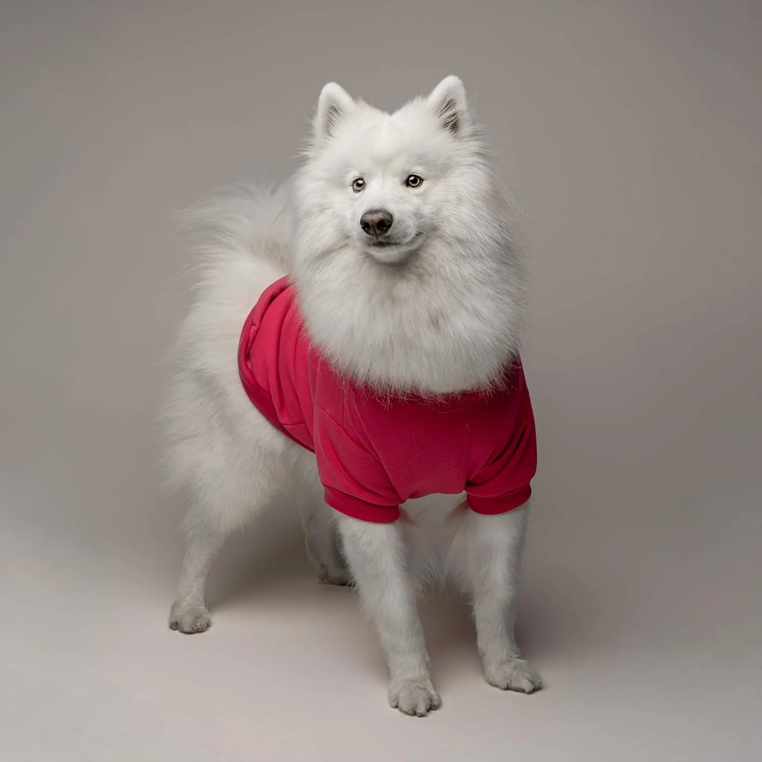 Love is Love Dog Hoodie | Fleece Lined |Leash Hole| Pride Day | LGBTQ  | Rainbow | Parade|Hot Pink, Small 305