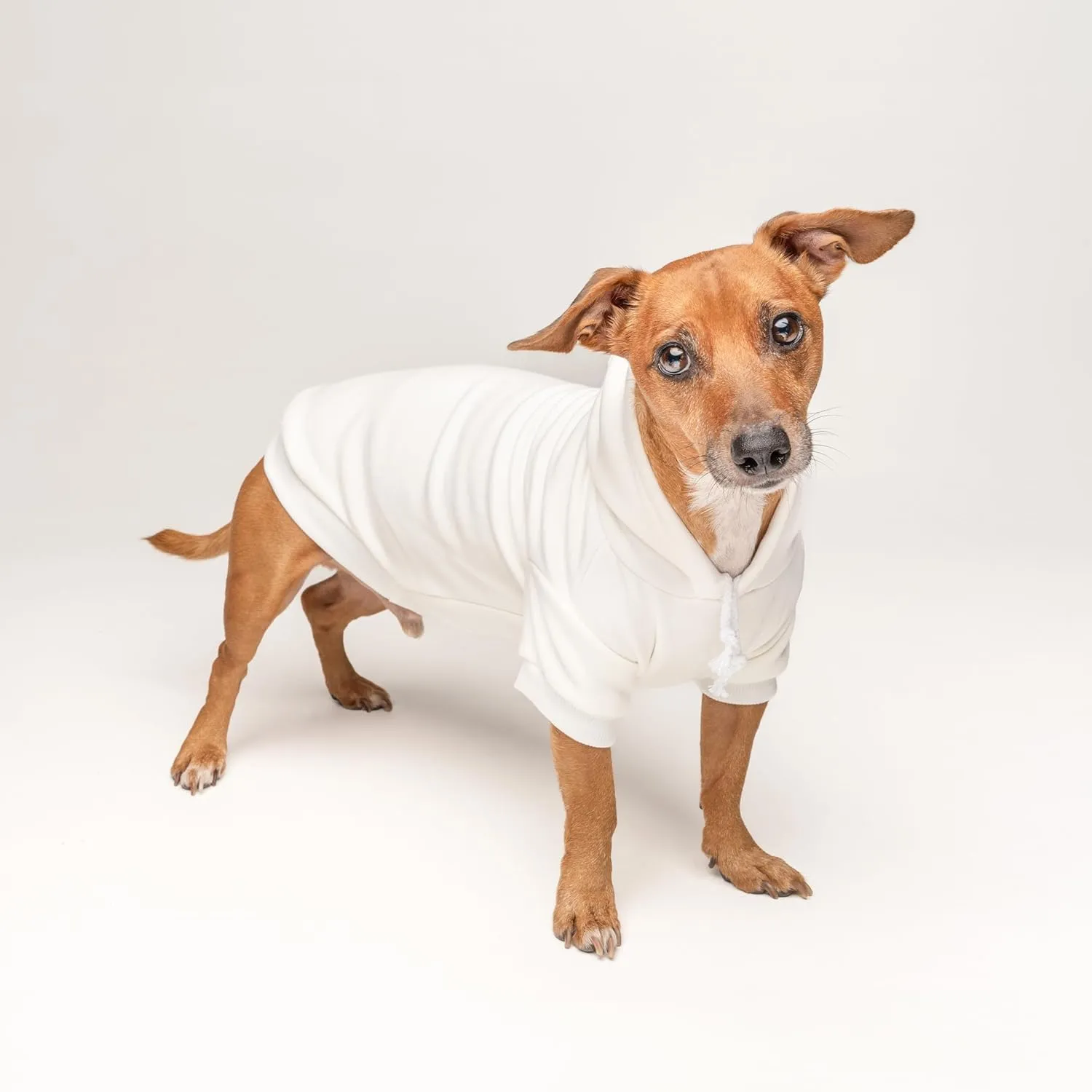 Mama's Boy Dog Hoodie | Fleece Lined |Leash Hole for Mom | Valentine's Day | Prop Photoshoot |Cream, 6X-Large (1245)
