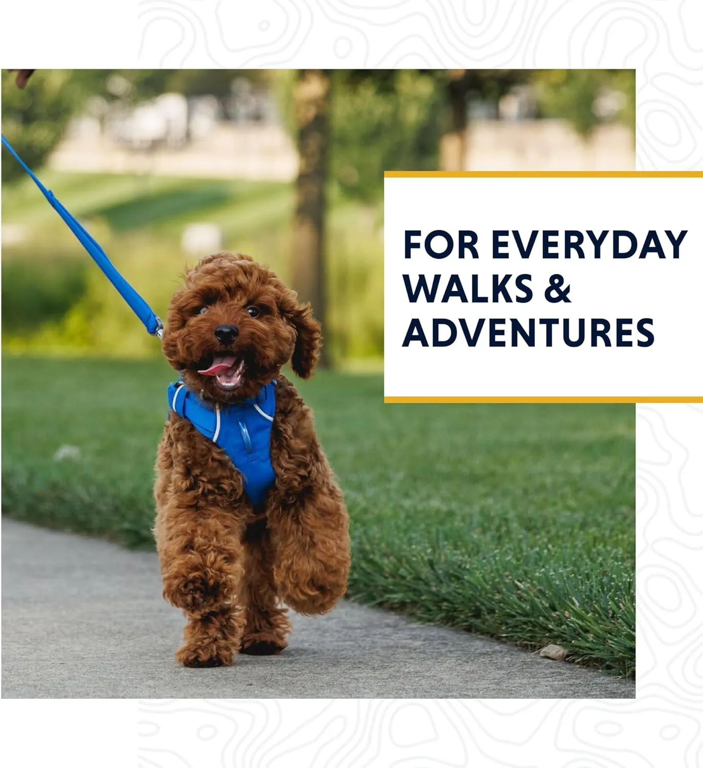 Ruffwear, Front Range Dog Leash, 5 ft Lead with Padded Handle for Everyday Walking, Coastal Fade