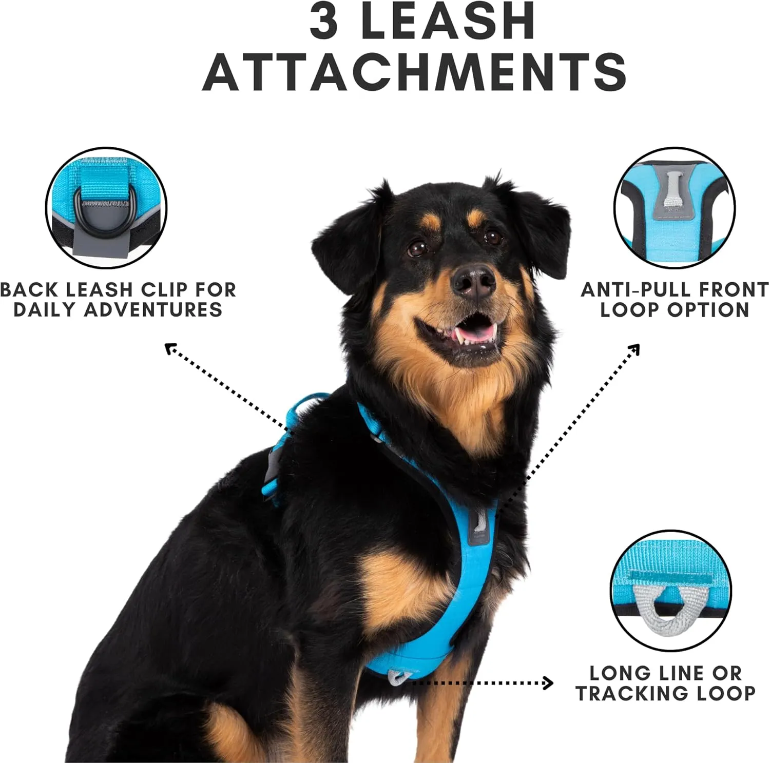 ShawnCo Basecamp Dog Harness, No-Pull Pet Vest with 3 Leash Clips, Padded, Reflective, Lightweight and Adjustable Harness with Handle for Small, Medium and Large Dogs (Sunset Orange, XL)